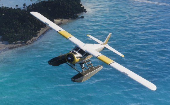 Mammoth Dodo, Wasserflugzeug in GTA 6
