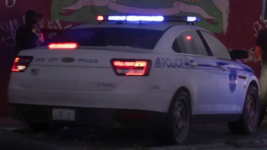 Vice City Police (VCPD), Polizei in GTA 6