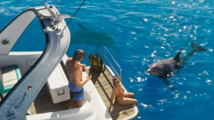 Großer Tümmler, Bottlenose Dolphin in GTA 6