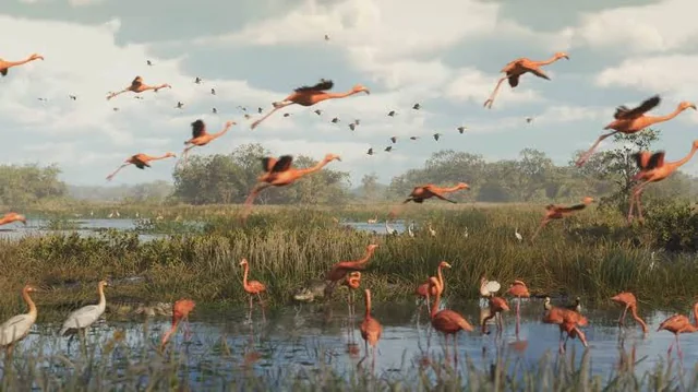 Flamingo, American Flamingo in GTA 6