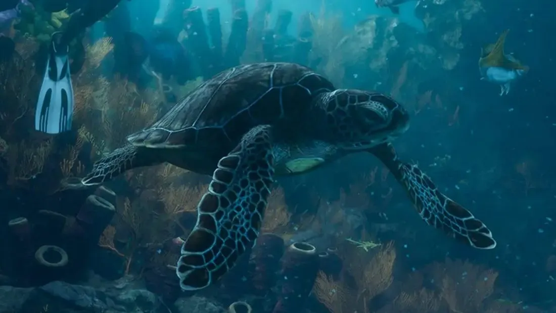 Unechte Karettschildkröte, Loggerhead Sea Turtle in GTA 6