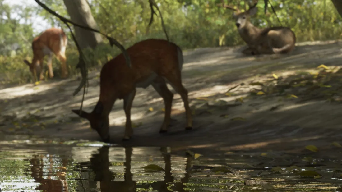 Weißwedelhirsch, White-tailed Deer in GTA 6