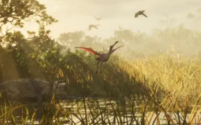 Rosalöffler, Roseate Spoonbill in GTA 6