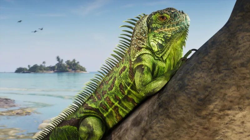 Offizieller Screenshot aus den Leonida Keys: ein grüner Leguan, dahinter Meer und eine kleine Insel mit Palmen. Bild: Rockstar Games