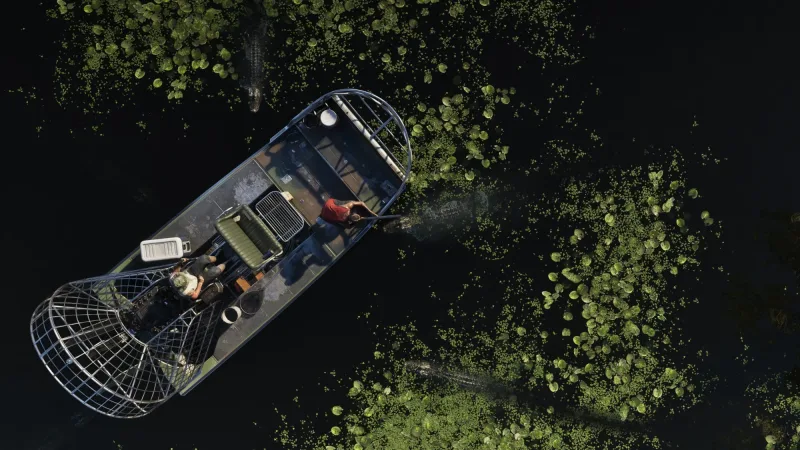 Propellerboot in den Grassrivers, ringsum tauchen Alligatoren aus dem Wasser auf. Bild: Rockstar Games