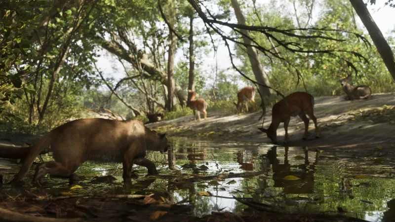 Ein Puma schleicht durch flaches Wasser auf eine Gruppe Weißwedelhirsche zu, im Mount Kalaga National Park. Bild: Rockstar Games