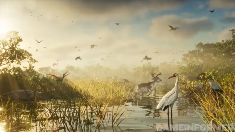 Sumpf im Morgenlicht, links ein Alligator, in der Luft ziehen Vögel. Bild: Rockstar Games, Game Informer